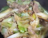 鴨肉とネギの煮物作り方4写真