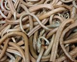 食べやすく見映えする＊ぜんまいの煮物作り方4写真