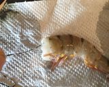 おせち✿カナダメープルで作る海老のつや煮作り方2写真