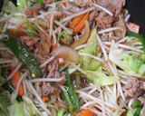 “昭和の定食屋の焼肉”こと甘辛肉野菜炒め作り方13写真