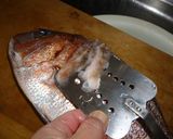鯛　飛び散らないうろこの取り方作り方2写真