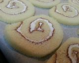 簡単 ロールケーキのラスク作り方4写真