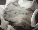短時間煮込むだけ♪艶やか柔らか★黒豆煮★作り方6写真