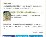 地元飯　月島名物本場の五目もんじゃ作り方13写真