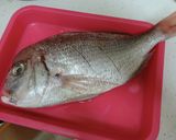 贅沢鯛飯☆１匹まんま作り方1写真