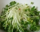 イクラと鮭の海鮮茶漬け作り方3写真