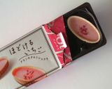 チャーリーとチョコレート工場…【詳細】作り方12写真