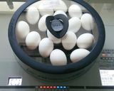 半熟ゆで卵作り方3写真