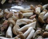 しめじと茄子のトマトソースパスタ作り方3写真