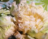 簡単！ケンミンショーの味噌焼きうどん作り方1写真