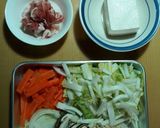 ほっとする味☆けんちん風どんぶり作り方1写真