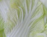 餃子でロール白菜!作り方3写真