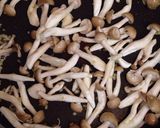 実は簡単!カレービーフン作り方3写真