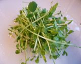 鶏団子と豆苗のお鍋♪作り方2写真