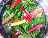 きれい野菜☆スイスチャードの浅漬け作り方1写真