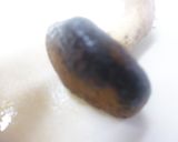胡麻ドレで白和え作り方4写真
