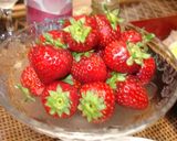 2006おせちの覚え書き作り方16写真