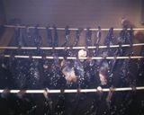 適当ビーフジャーキー(醤油ベース)作り方15写真