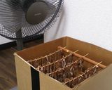 適当ビーフジャーキー(醤油ベース)作り方13写真