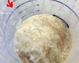 天然酵母液からおこす天然酵母元種(中種)作り方7写真