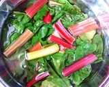 きれい野菜☆スイスチャードのナムル作り方1写真