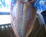 ♪自家製♪アジの開き♪作り方5写真