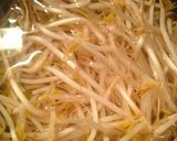 節約＊子供が好きな味の もやしの生春巻き作り方1写真