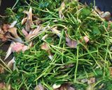 10分で出来る！豆苗と舞茸のベーコン炒め作り方3写真