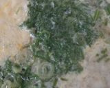 卵すまし作り方4写真
