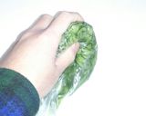 もみもみ！パリうま♡簡単胡麻キュウリ作り方1写真