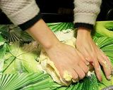 子供と作ると楽しい♪イタリアのクッキー作り方4写真