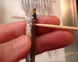 ワカサギの大量消費は 干物で作り方10写真