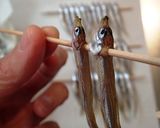 ワカサギの大量消費は 干物で作り方11写真