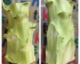 ブロッコリーの茎ともやしの中華サラダ作り方2写真