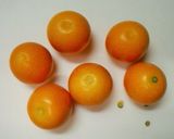 とってもおいしい金柑の甘露煮作り方1写真