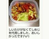 20分スタミナ柔らか豚バラブロック甘辛煮作り方14写真
