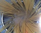 簡単包丁いらず具なし和風パスタ作り方1写真