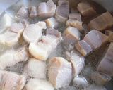 塩豚で豚バラ大根のスープ煮作り方8写真
