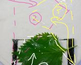 簡単!かまぼこの春巻き作り方5写真