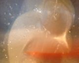 ＋手ごね基本のパン生地＋卵・乳製品不使用作り方2写真