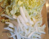 白菜のお好み焼？たこ焼？風 玉子不使用作り方1写真