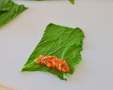 トルコの家庭料理☆ふだん草のサルマ作り方7写真