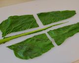 トルコの家庭料理☆ふだん草のサルマ作り方6写真