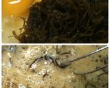 本格簡単！ふわふわオーブン焼きとろろ芋作り方3写真