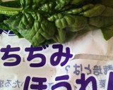 ちぢみほうれん草と水菜のマヨラー油あえ！作り方1写真