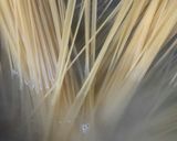 ウインナーと野菜のパスタ◆レトルト活用作り方1写真