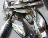 骨まで食べられる！小あじの素揚げ☆作り方1写真