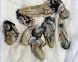 ☆超簡単 カキとあさりのチーズパエリア作り方1写真