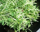 豆苗とウィンナーの塩、胡椒炒め作り方6写真
