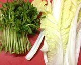 野菜しゃぶしゃぶを大根おろしとポン酢で!作り方6写真